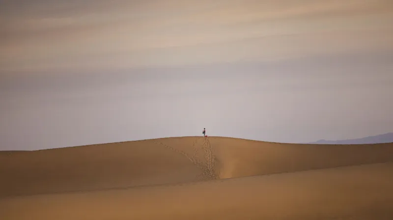 Empty Space, Full Meaning: How Cinematographers Use Negative Space to Tell Stories Without Words