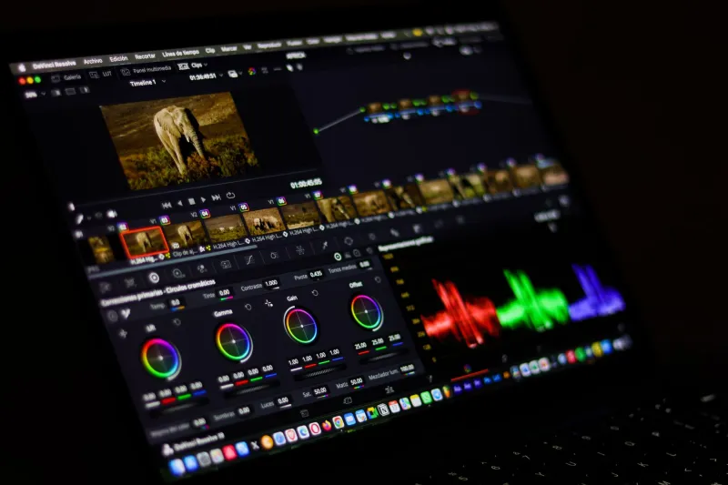 The Quiet Architect: How the Colorist Becomes the Final Author of Your Film